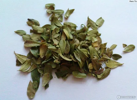 تصویر 2 از راهنمای خرید آویشن کیلویی + قیمت عالی